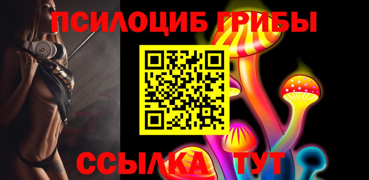 Белебей  Псилоцибиновые грибы Psilocybine cubensis  Вход с VPN  Галлюциногенные грибы GOLDEN TEACHER 